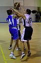 Basket 252005